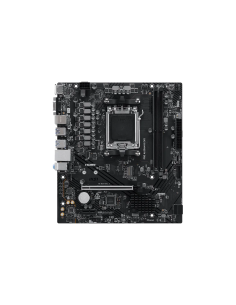 MSI PRO A620AM-B EVO